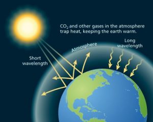 global warming